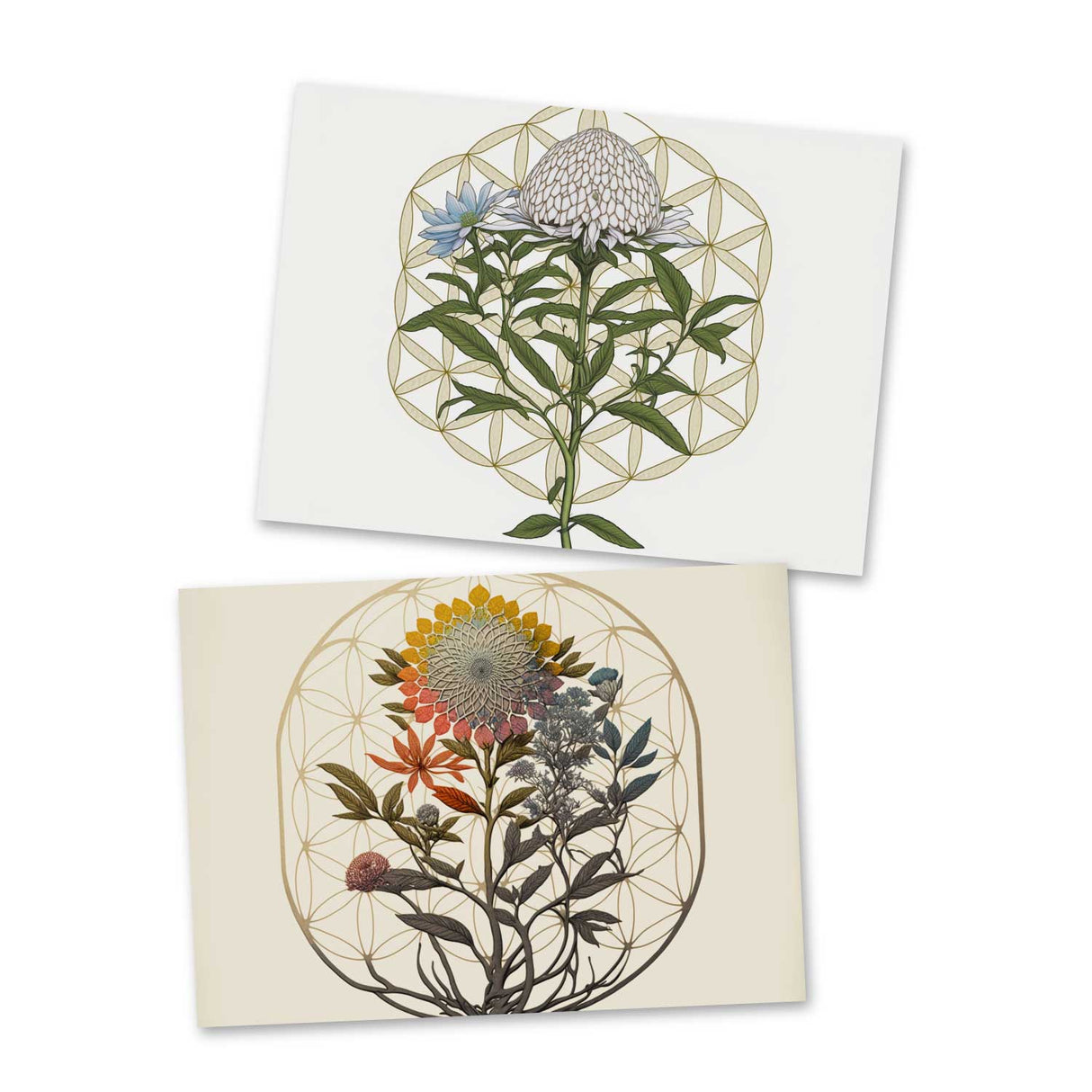 Buddha Meditation Karten Set (13 Karten) | Mandala Grußkarten | Neutral | Wanddekoration | Wasserfarben Aquarell I Wandbild Buddha