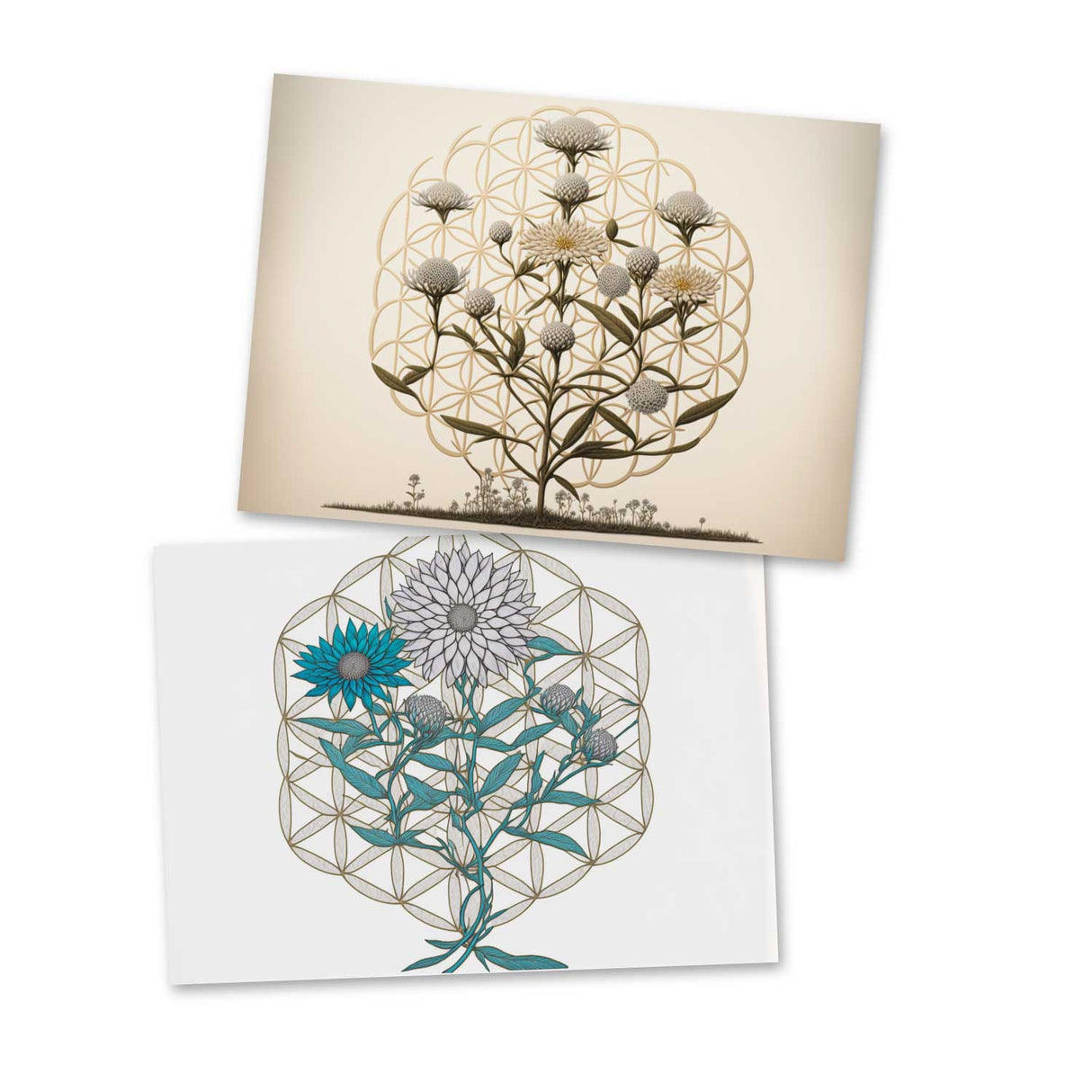 Flower of Life Cards Set (10 Cards) | Flower of Life | poison | wall decoration | Image Deco Spiritual | Decoration I mural