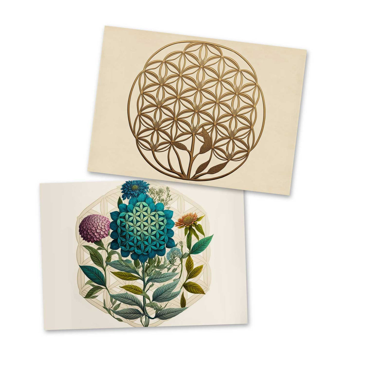Flower of Life Cards Set (10 Cards) | Flower of Life | poison | wall decoration | Image Deco Spiritual | Decoration I mural